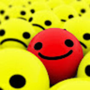 Meet your Posher, Sophie Wild-Rebel